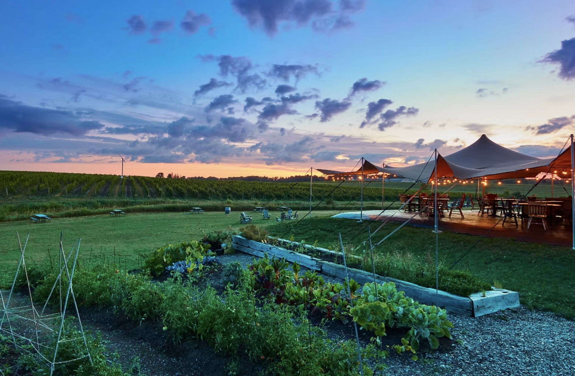 Westcott Vineyardsワイナリー